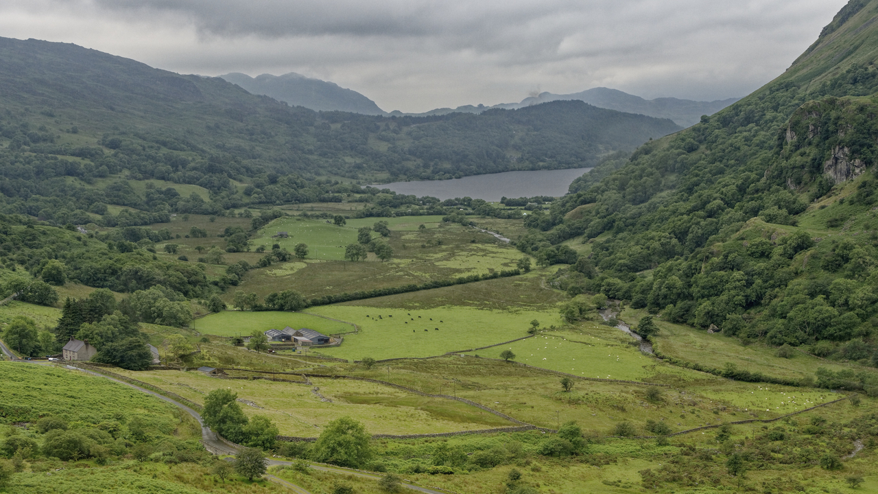 20170628 155507•Bedd Gelert•Wales